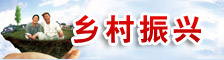 乡村振兴.jpg